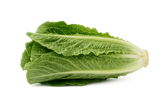 Lechuga Orejona