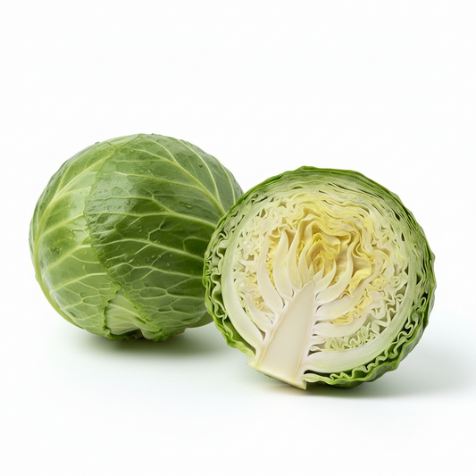 Repollo Blanco