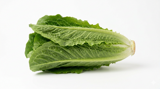 Lechuga Orejona