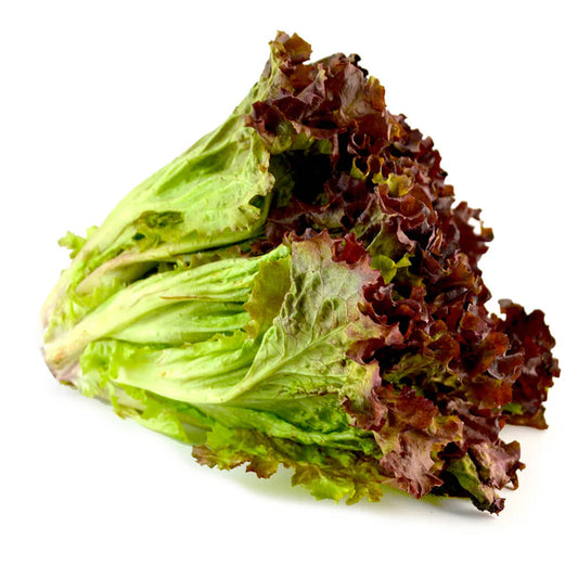 Lechuga Sangría